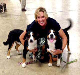 entlebucher breeder, anita crouse, stud dog owner of Entlebucher Mountain Dogs with her two stud dogs bluto and bronco